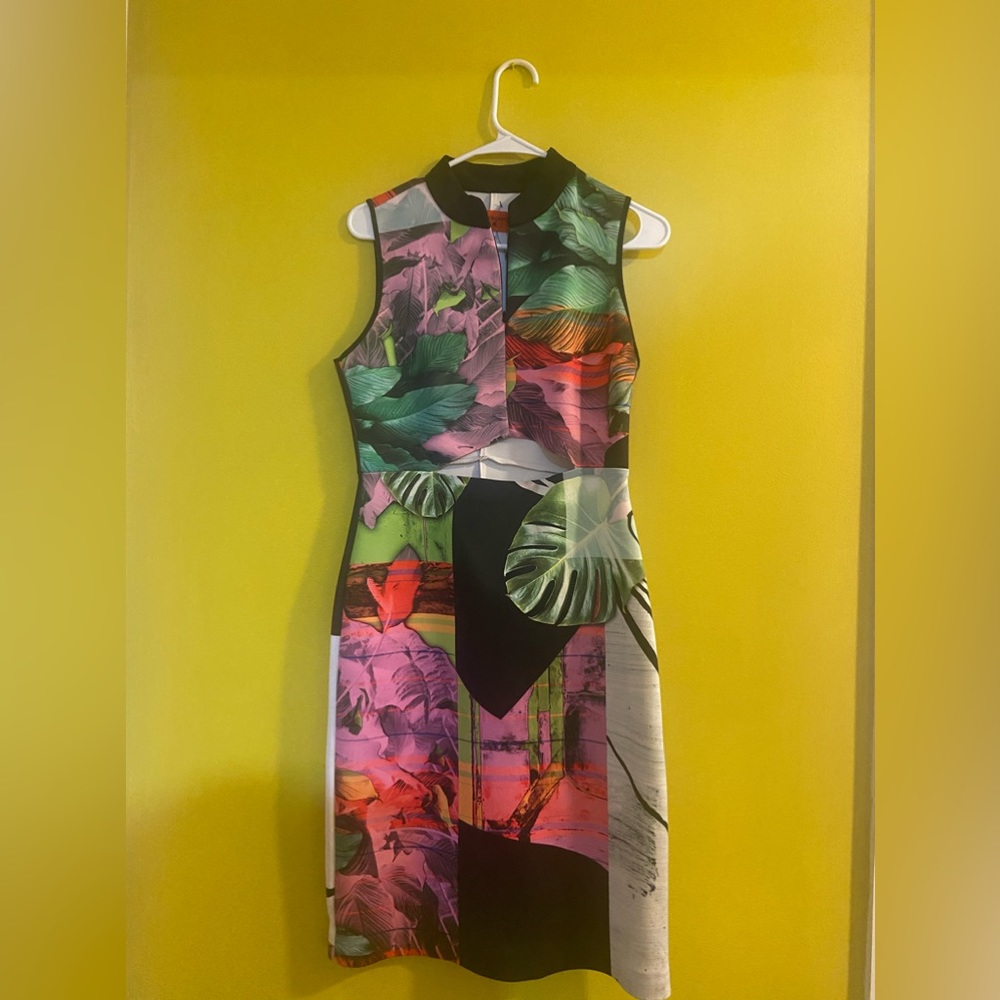 Clover canyon dress